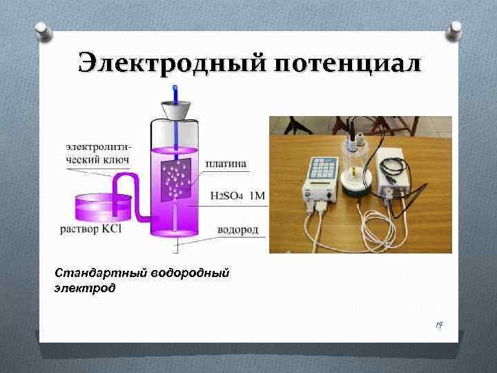 Электродный потенциал Стандартный водородный электрод 14 