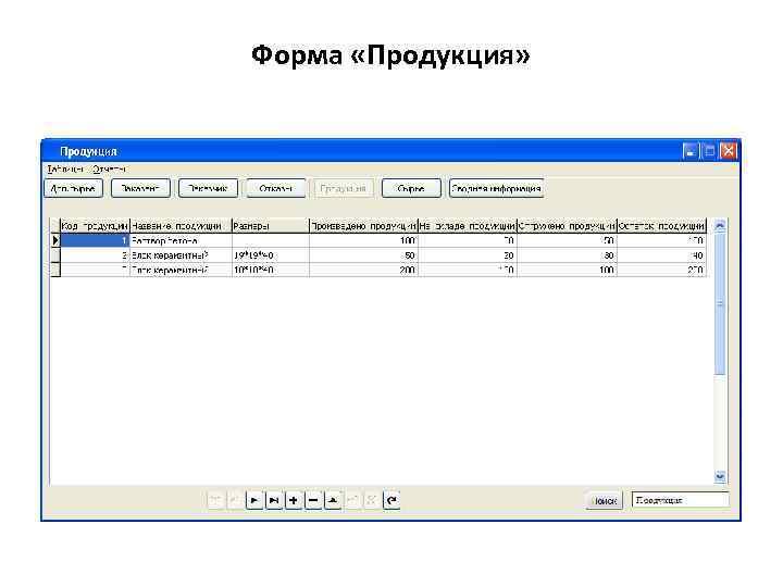 Форма «Продукция» 