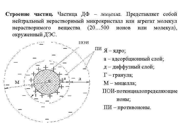 Строение частицы