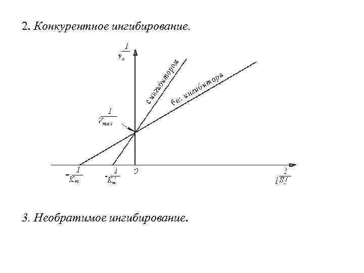 2. Конкурентное ингибирование. 3. Необратимое ингибирование. 