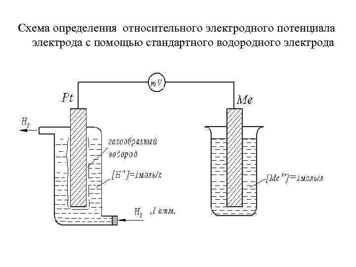 Электрохимический и электродный потенциал