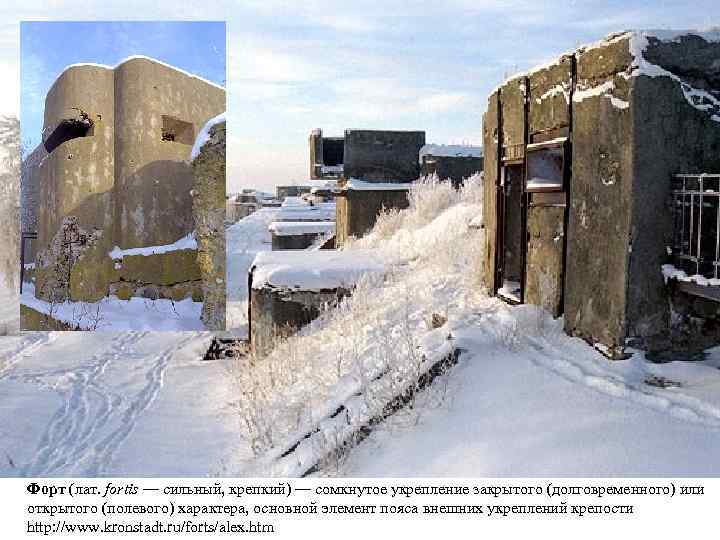 Форт (лат. fortis — сильный, крепкий) — сомкнутое укрепление закрытого (долговременного) или открытого (полевого)