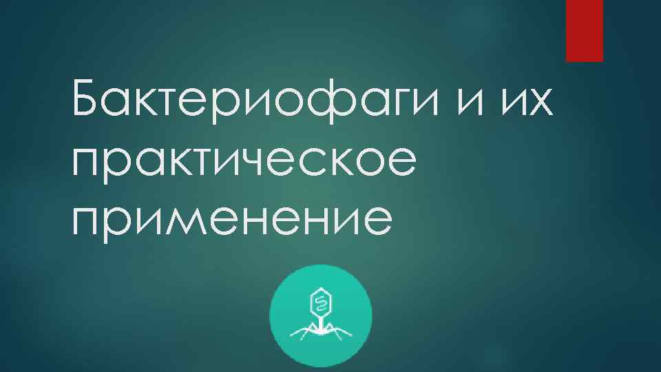 Бактериофаги и их практическое применение 