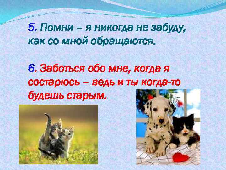 5. Помни – я никогда не забуду, как со мной обращаются. 6. Заботься обо
