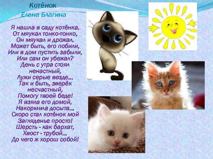 Котёнок Елена Благина Я нашла в саду котёнка. От мяукал тонко-тонко, Он мяукал и