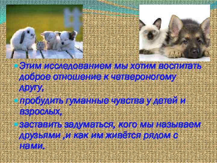  Этим исследованием мы хотим воспитать доброе отношение к четвероногому другу, пробудить гуманные чувства