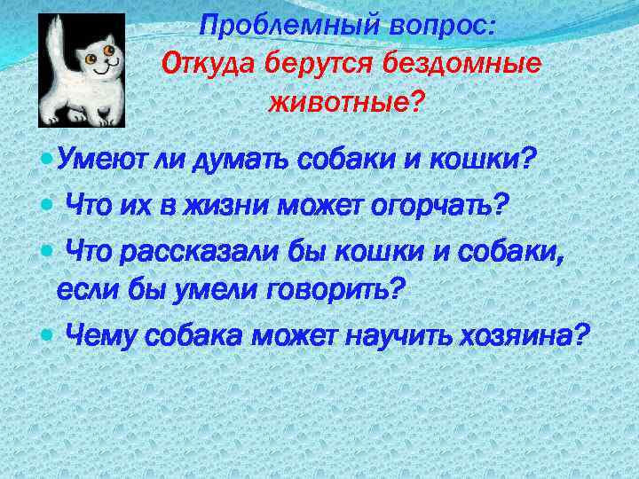 Проблемный вопрос: Откуда берутся бездомные животные? Умеют ли думать собаки и кошки? Что их