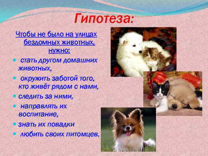 Гипотеза: Чтобы не было на улицах бездомных животных, нужно: стать другом домашних животных, окружить