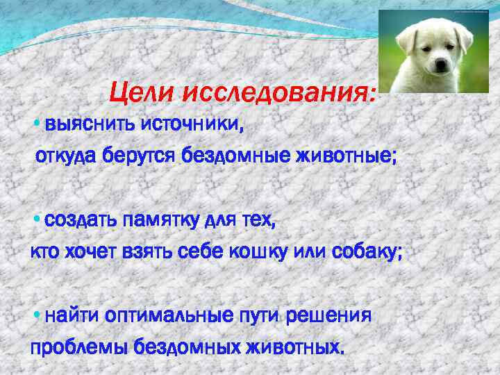 Цели исследования: • выяснить источники, откуда берутся бездомные животные; • создать памятку для тех,