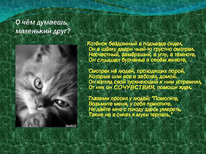 О чём думаешь, маленький друг? Котёнок бездомный в подъезде сидел, Он в щёлку двери
