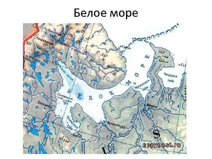 Белое море 