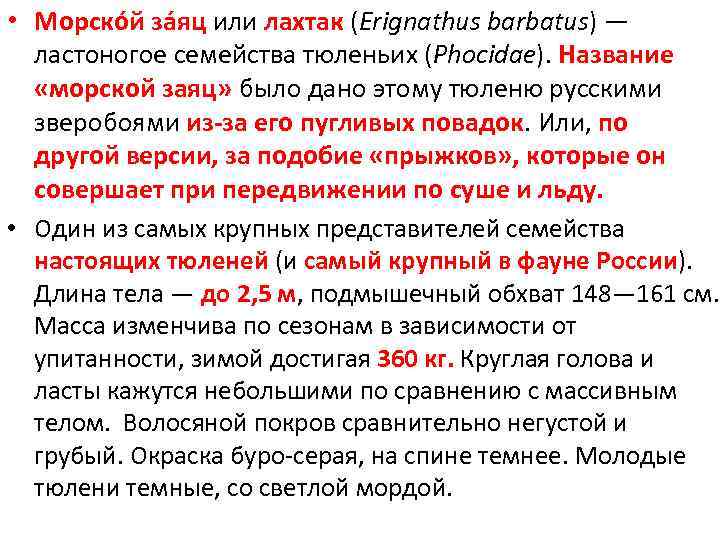  • Морско й за яц или лахтак (Erignathus barbatus) — ластоногое семейства тюленьих