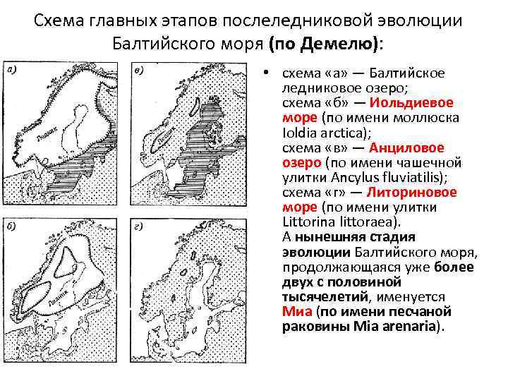 Карта литоринового уступа в спб