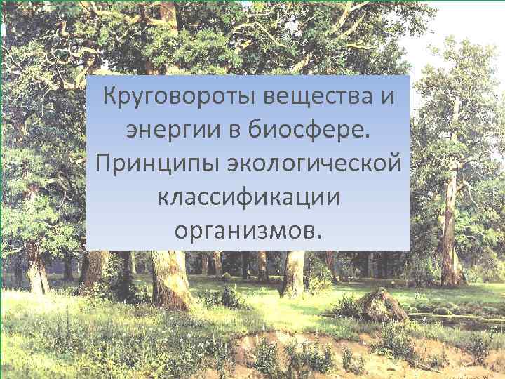 Круговороты вещества и энергии в биосфере. Принципы экологической классификации организмов. 