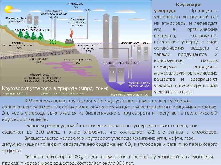 Источники углекислого газа. Влияние человеческой деятельности на круговорот воды. Антропогенное воздействие на круговорот воды. Влияние человека на круговорот воды в природе. Загрязнение воды круговорот.