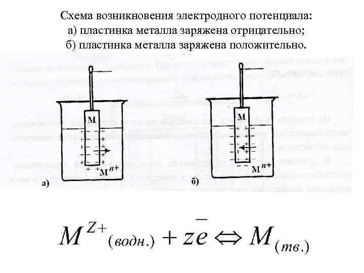 Схема возникновения электродного потенциала: а) пластинка металла заряжена отрицательно; б) пластинка металла заряжена положительно.