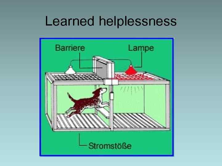 Learned helplessness 