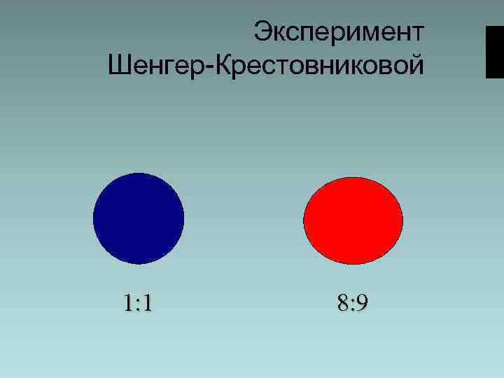 Эксперимент Шенгер-Крестовниковой 1: 1 8: 9 