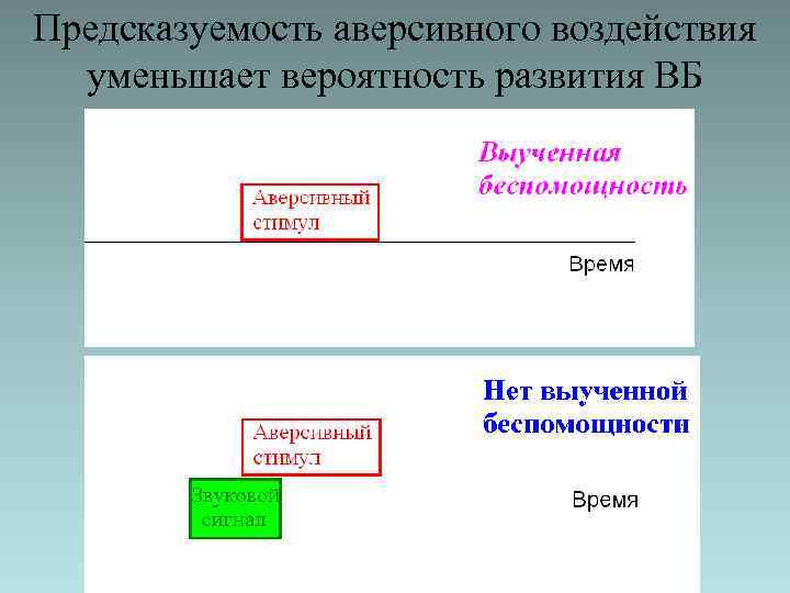 Предсказуемость аверсивного воздействия уменьшает вероятность развития ВБ 