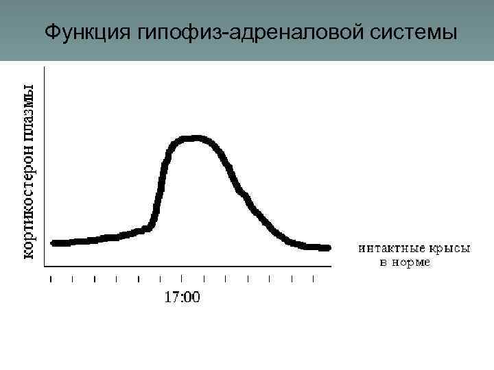 Функция гипофиз-адреналовой системы 