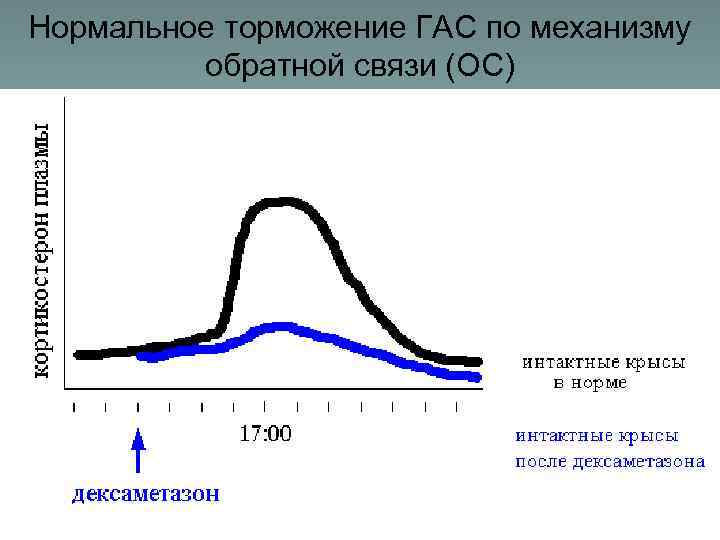 Нормальное торможение ГАС по механизму обратной связи (ОС) 