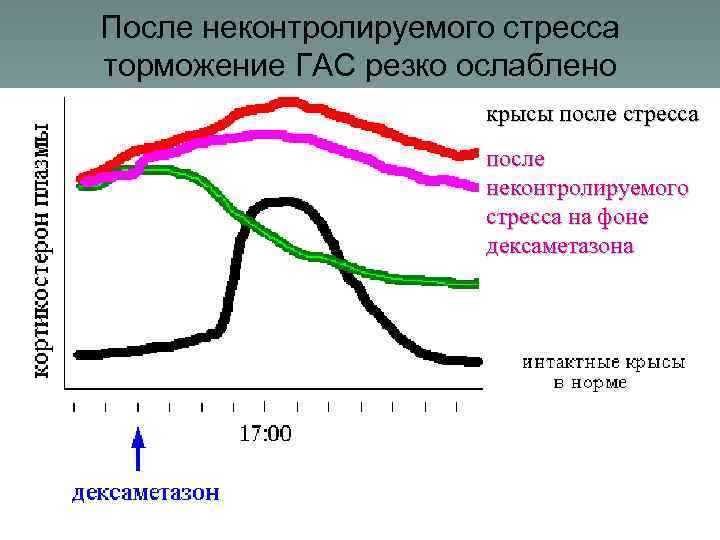 После неконтролируемого стресса торможение ГАС резко ослаблено крысы после стресса после неконтролируемого стресса на