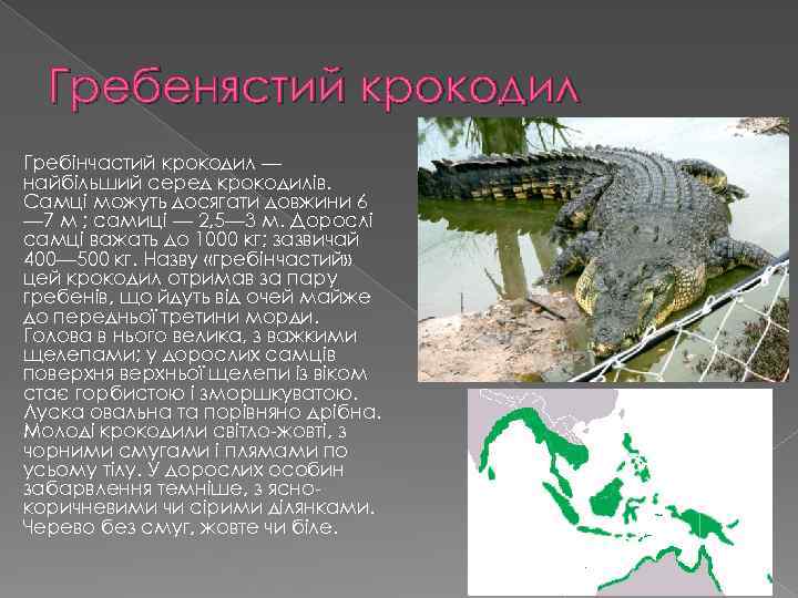 Гребенястий крокодил Гребінчастий крокодил — найбільший серед крокодилів. Самці можуть досягати довжини 6 —