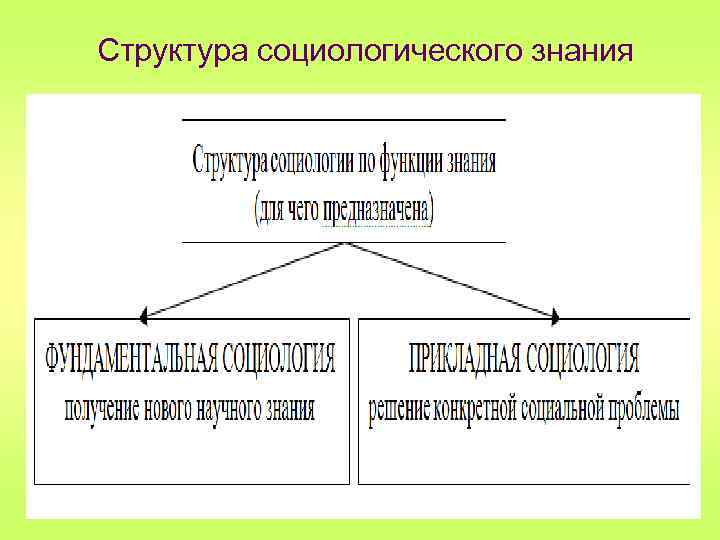 Схема структурных связей социологического знания