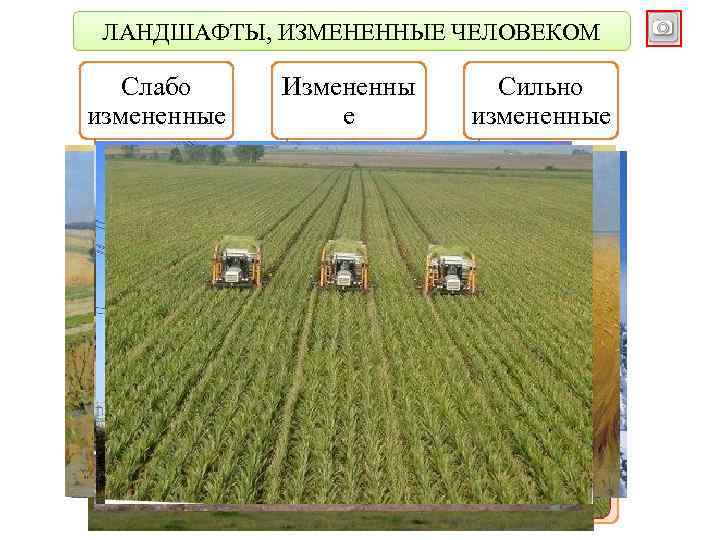 Изменение ландшафта человеком. Ландшафты измененные человеком. Слабоизмененные антропогенные ландшафты. Сильно измененные ландшафты примеры. Примеры антропогенные ландшафты слабоизмененные.