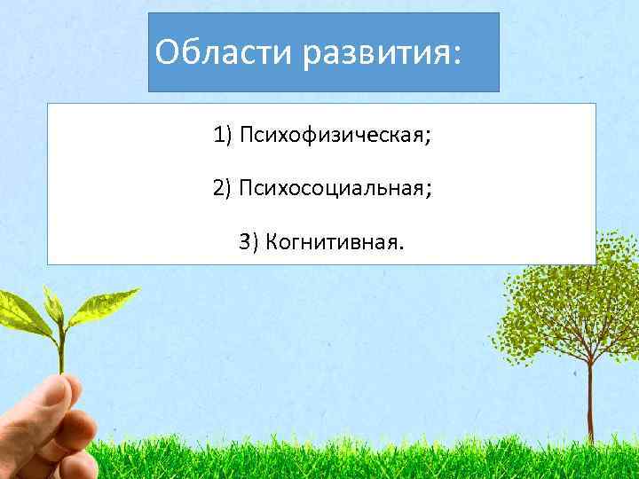 Области развития: 1) Психофизическая; 2) Психосоциальная; 3) Когнитивная. 