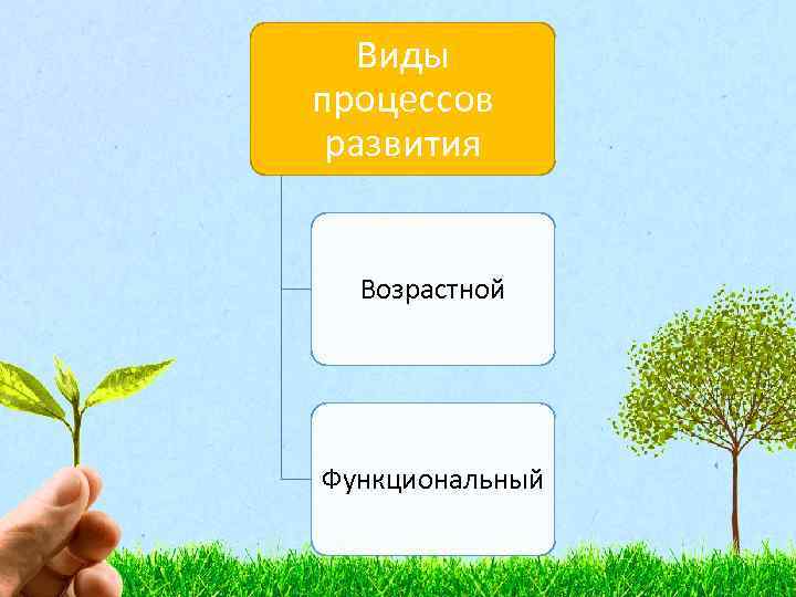 Виды процессов развития Возрастной Функциональный 