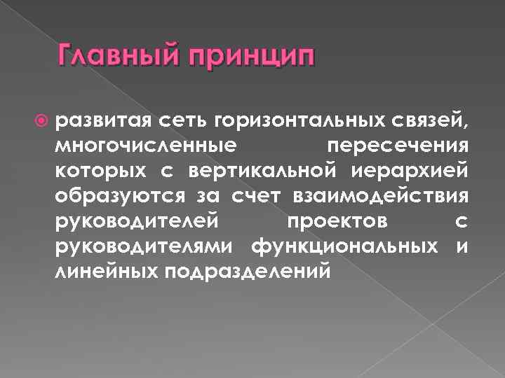 Главный принцип развитая сеть горизонтальных связей, многочисленные пересечения которых с вертикальной иерархией образуются за