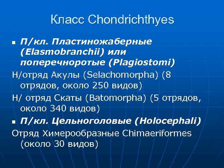 Класс Chondrichthyes П/кл. Пластиножаберные (Elasmobranchii) или поперечноротые (Plagiostomi) Н/отряд Акулы (Selachomorpha) (8 отрядов, около