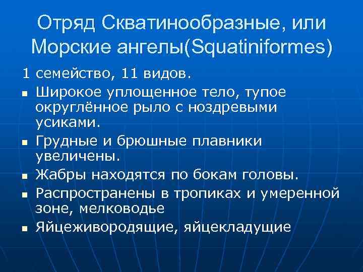 Отряд Скватинообразные, или Морские ангелы(Squatiniformes) 1 семейство, 11 видов. n Широкое уплощенное тело, тупое