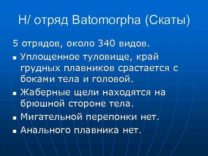 Н/ отряд Batomorpha (Скаты) 5 отрядов, около 340 видов. n Уплощенное туловище, край грудных