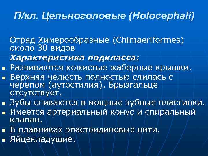 П/кл. Цельноголовые (Holocephali) n n n Отряд Химерообразные (Chimaeriformes) около 30 видов Характеристика подкласса:
