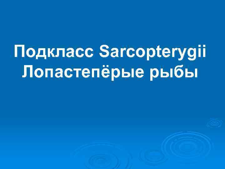 Подкласс Sarcopterygii Лопастепёрые рыбы 