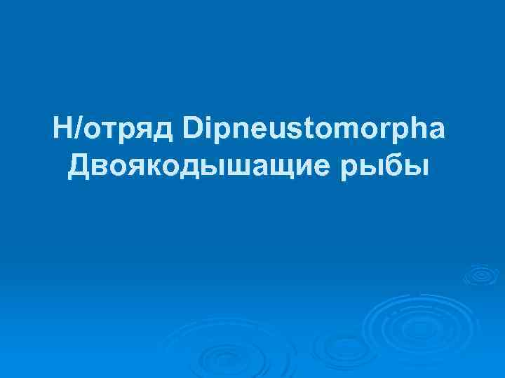 Н/отряд Dipneustomorpha Двоякодышащие рыбы 