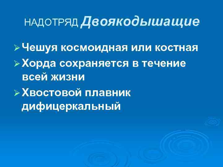 НАДОТРЯД Двоякодышащие Ø Чешуя космоидная или костная Ø Хорда сохраняется в течение всей жизни