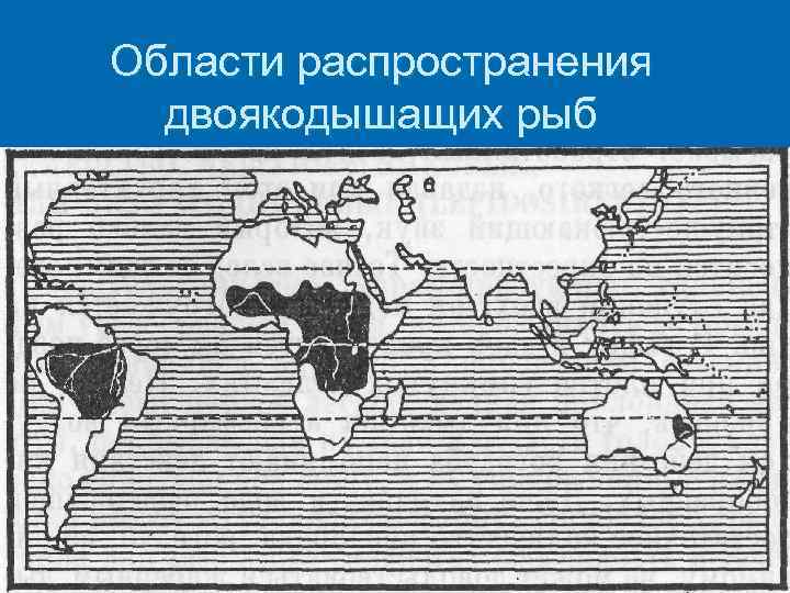 Области распространения двоякодышащих рыб 