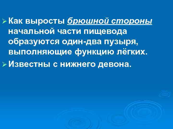 Ø Как выросты брюшной стороны начальной части пищевода образуются один-два пузыря, выполняющие функцию лёгких.