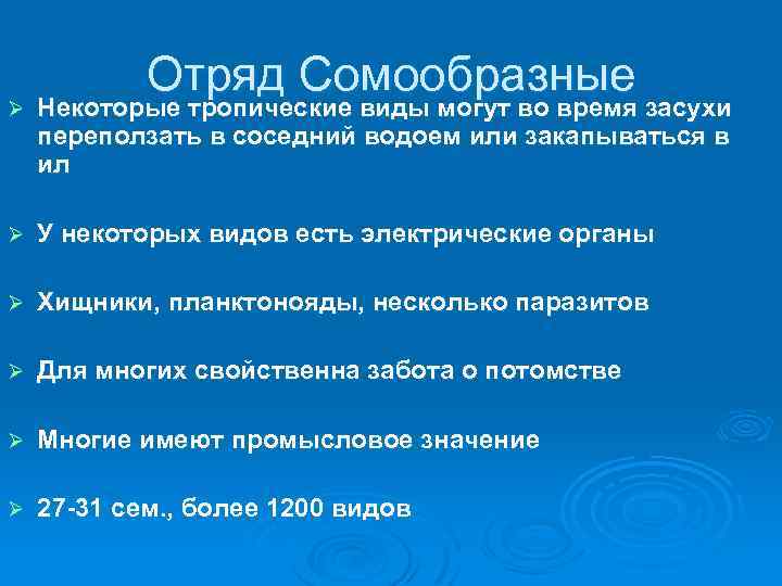Отряд Сомообразные Ø Некоторые тропические виды могут во время засухи переползать в соседний водоем