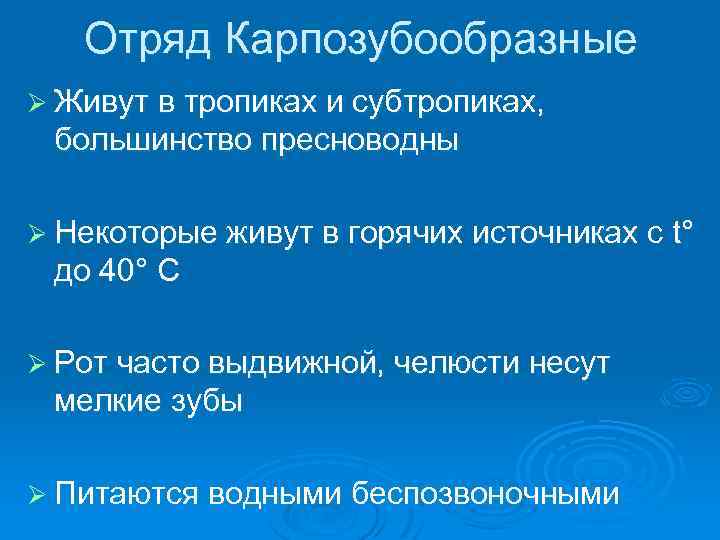 Отряд Карпозубообразные Ø Живут в тропиках и субтропиках, большинство пресноводны Ø Некоторые живут в