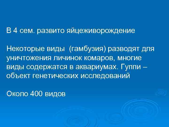 В 4 сем. развито яйцеживорождение Некоторые виды (гамбузия) разводят для уничтожения личинок комаров, многие
