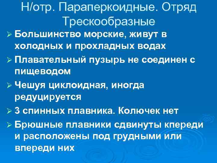 Н/отр. Параперкоидные. Отряд Трескообразные Ø Большинство морские, живут в холодных и прохладных водах Ø