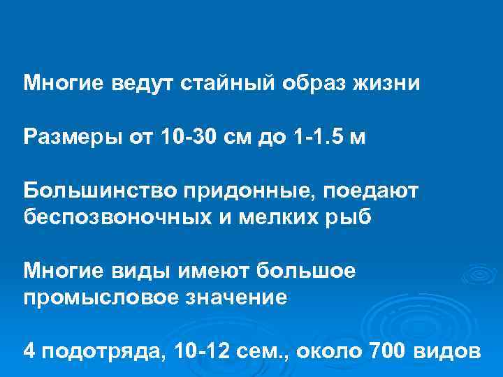 Многие ведут стайный образ жизни Размеры от 10 -30 см до 1 -1. 5