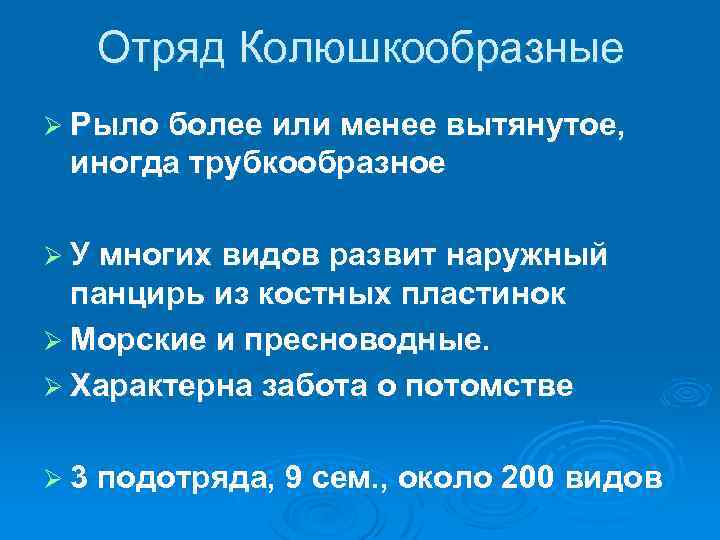 Отряд Колюшкообразные Ø Рыло более или менее вытянутое, иногда трубкообразное Ø У многих видов