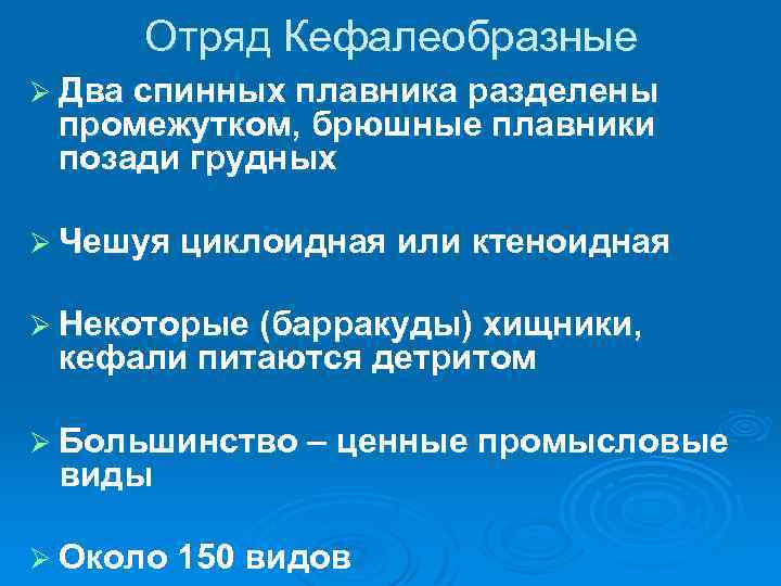 Отряд Кефалеобразные Ø Два спинных плавника разделены промежутком, брюшные плавники позади грудных Ø Чешуя