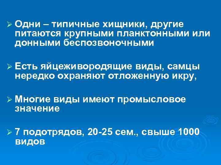 Ø Одни – типичные хищники, другие питаются крупными планктонными или донными беспозвоночными Ø Есть