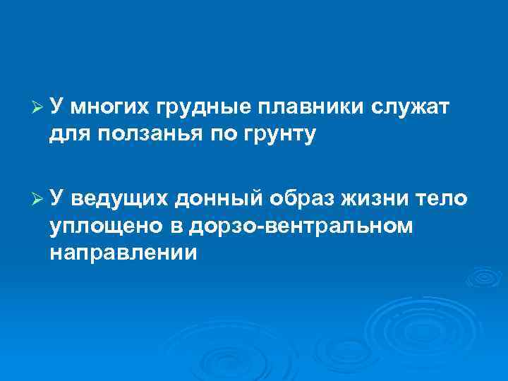 Ø У многих грудные плавники служат для ползанья по грунту Ø У ведущих донный